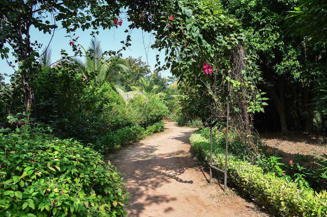 Baaz Jungle Resort Khawāsa Esterno foto
