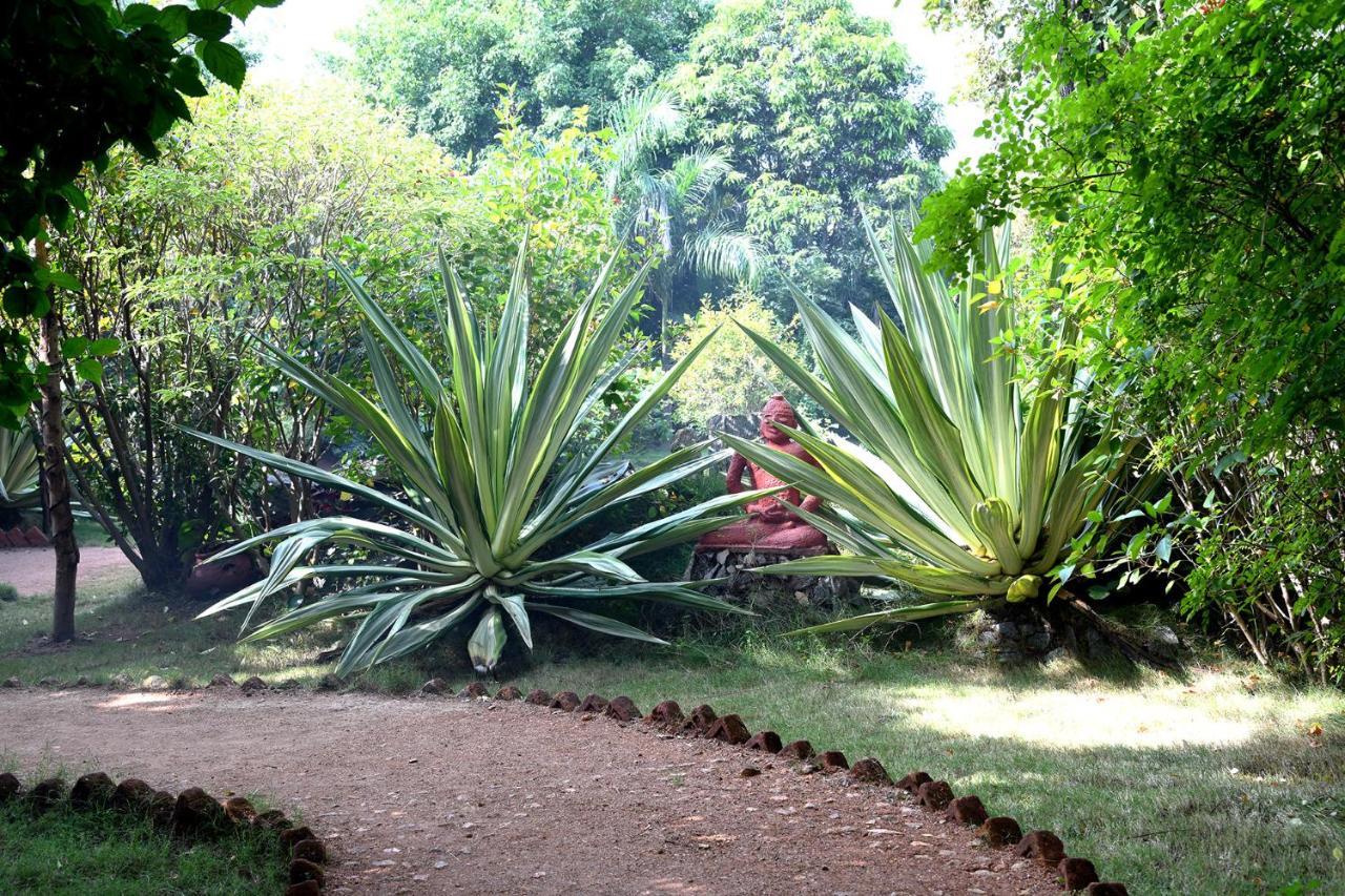 Baaz Jungle Resort Khawāsa Esterno foto