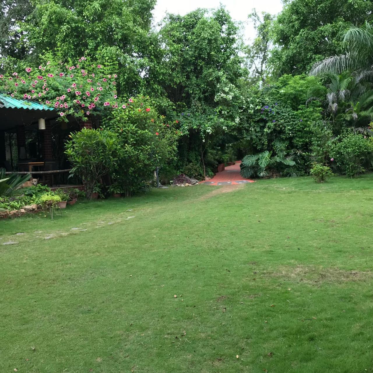 Baaz Jungle Resort Khawāsa Esterno foto