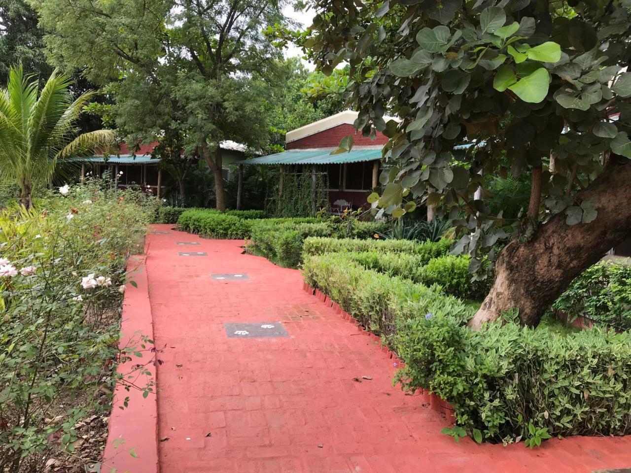 Baaz Jungle Resort Khawāsa Esterno foto