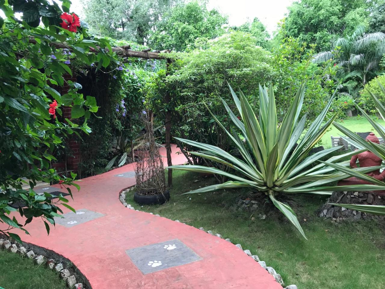 Baaz Jungle Resort Khawāsa Esterno foto