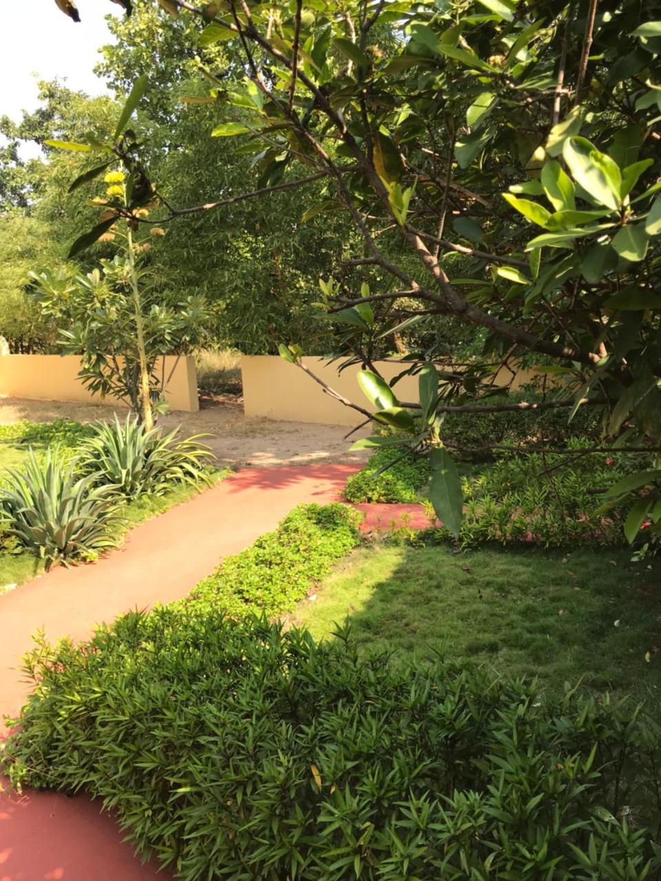 Baaz Jungle Resort Khawāsa Esterno foto